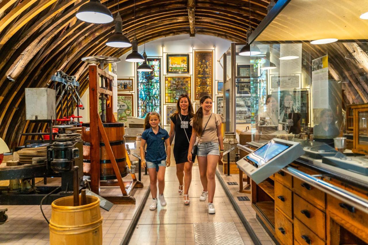 Europarcs De Woudhoeve เอ็กมอนด์ อาน เดน ฮูฟ ภายนอก รูปภาพ